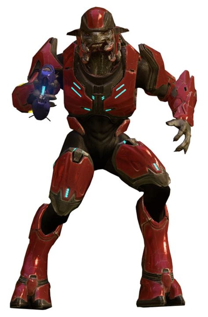 Are Elites sangheili?