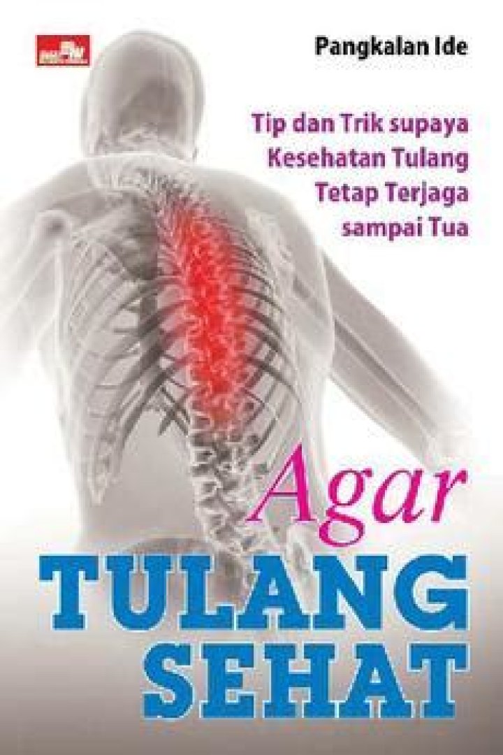 Bagaimana panjang tempurung lutut?