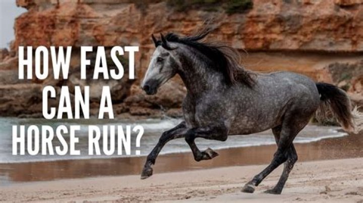 Can a human run fast on all fours?