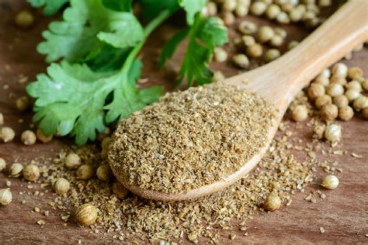 Can I substitute coriander powder for seeds?