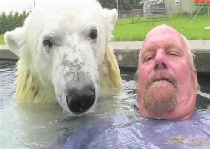 Can you swim with a polar bear?