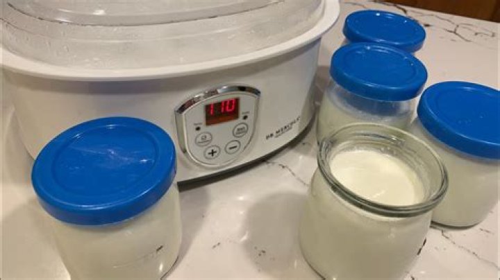 Can you use non-dairy milk in a yogurt maker?