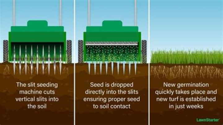 Does broadcast seeding work?