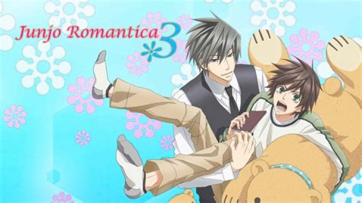 Does junjou Romantica have a dub?