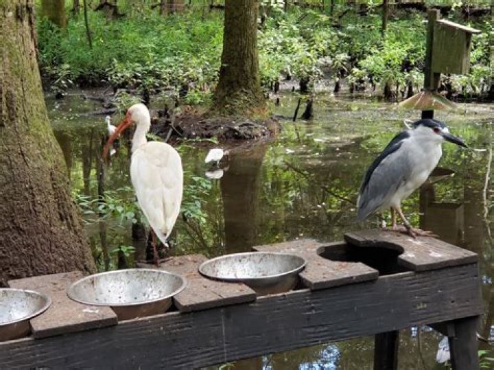 Does Myrtle Beach have any zoos?
