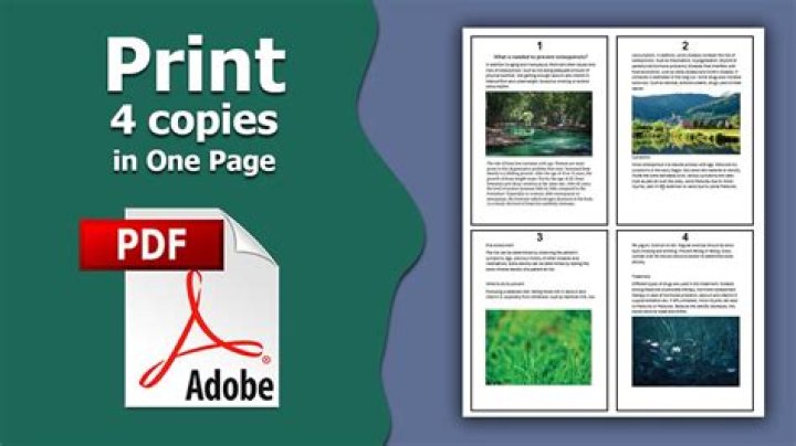 How do I Print 4 PDF pages on one page?