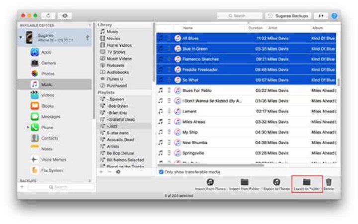 How do I view my iPod files on my Mac?