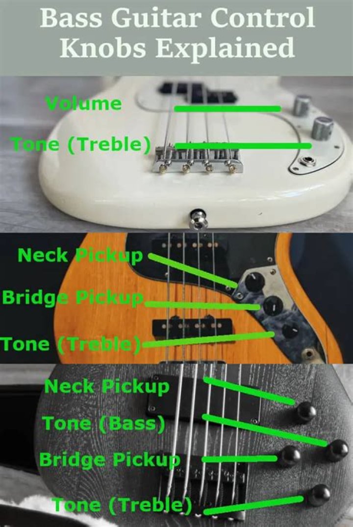 How do you date an Ibanez bass?