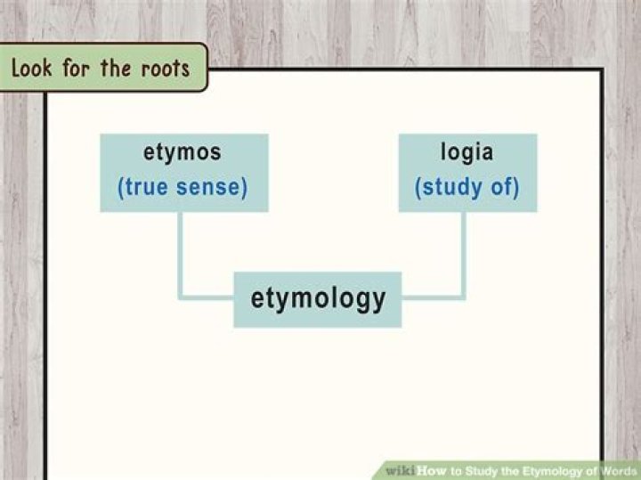 How do you find the etymology of a word?