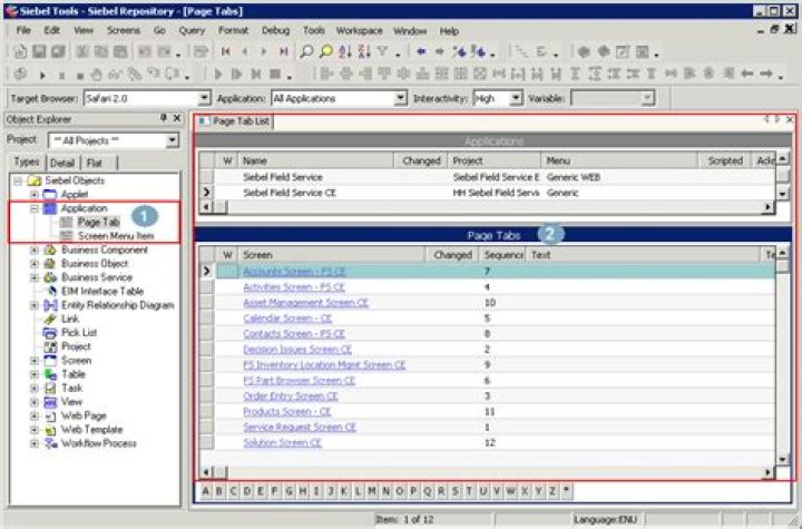 How do you select all records in Siebel tools?