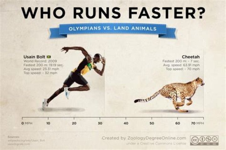 How fast do Olympians Run 10K?
