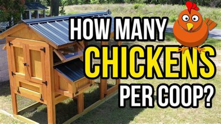 How many chickens will feed 30 people?
