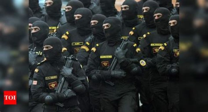 How many commandos are in Z plus security?