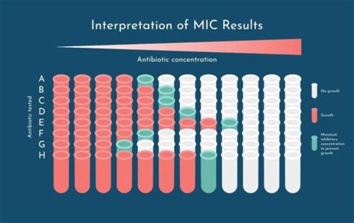 Is a higher or lower MIC better?