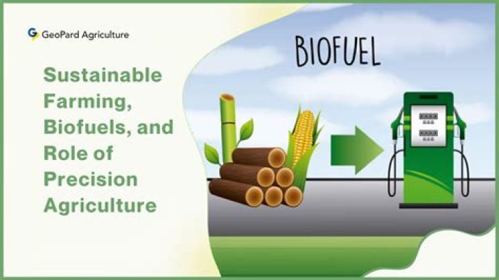 Is biofuel used in India?