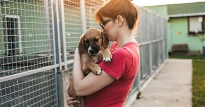 Is Utah a no-kill state for animals?