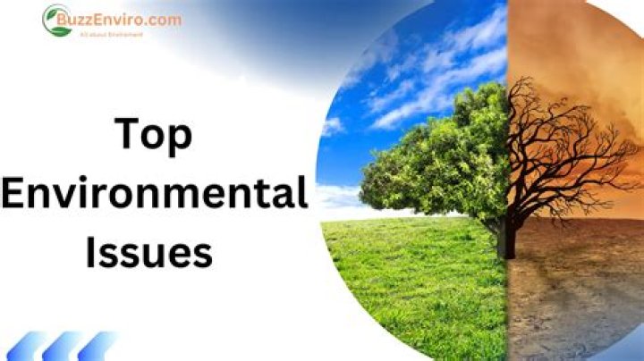 What are 3 environmental issues?