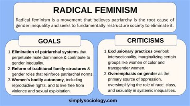 What are examples of radical feminism?