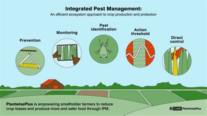 What are the benefits of pest control?