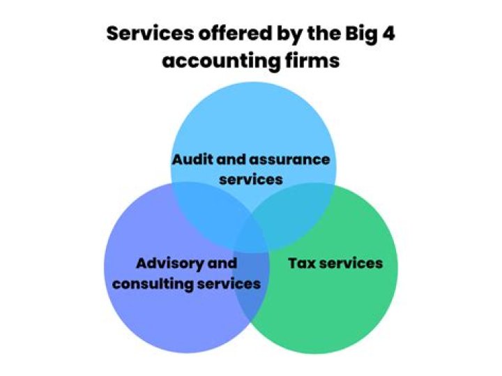 What are the Big 4 accounting firms in South Africa?