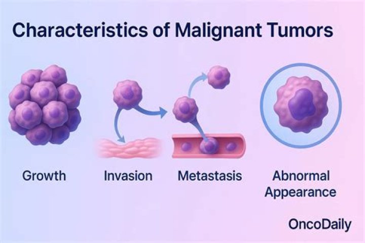 What are the factors contributing to the development of malignant Tumours?