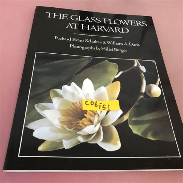 What are the Glass Flowers at Harvard?