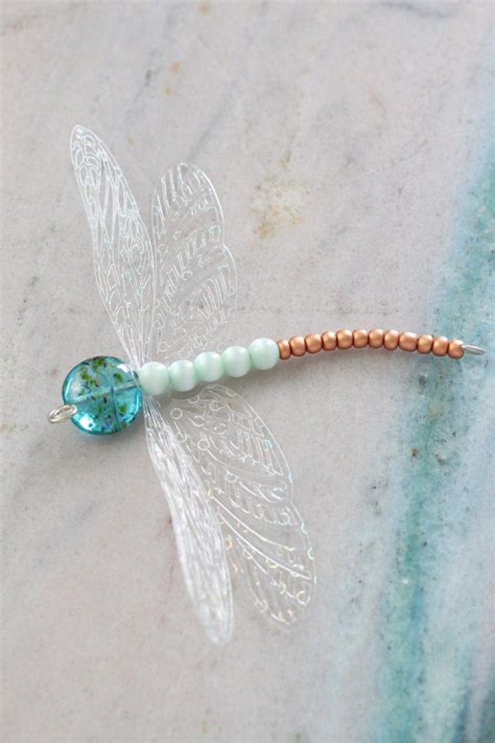 What can I use to make dragonfly wings?
