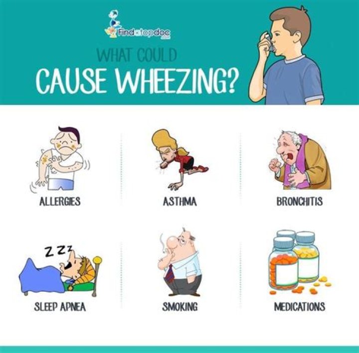 What causes a wheeze?