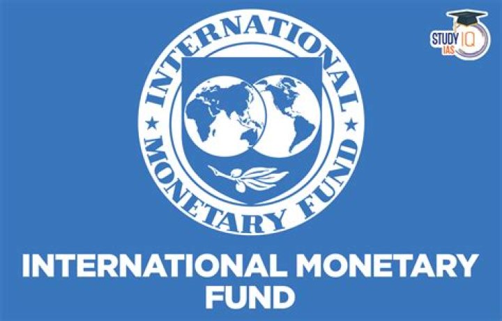 What do the World Bank the International Monetary Fund IMF and the World trade organization WTO do quizlet?
