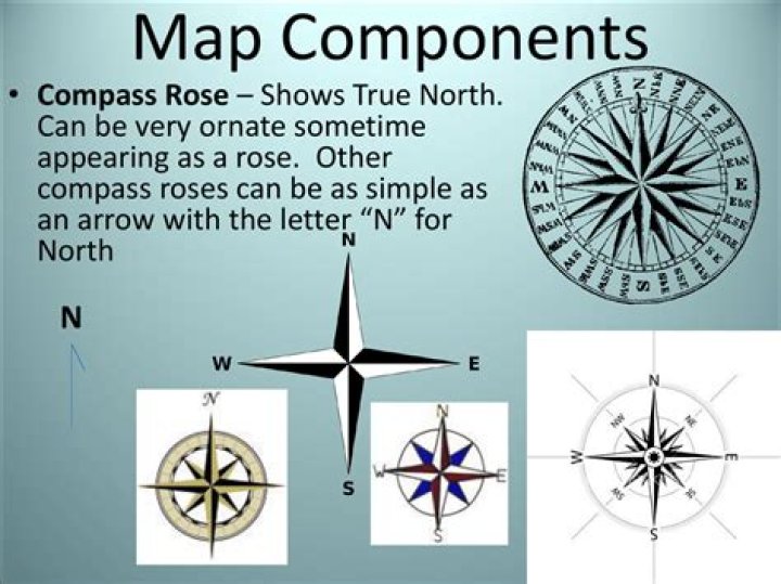 What does a compass rose symbolize?