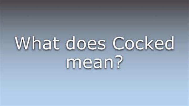 What does cocked his head means?