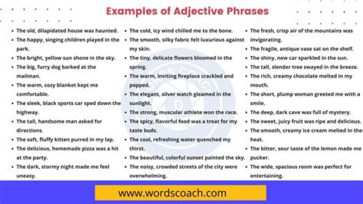 What is a adjective phrase sentence example?