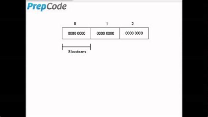 What is a bit vector in C?