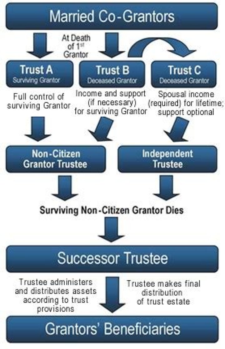 What is a Qdot Trust?