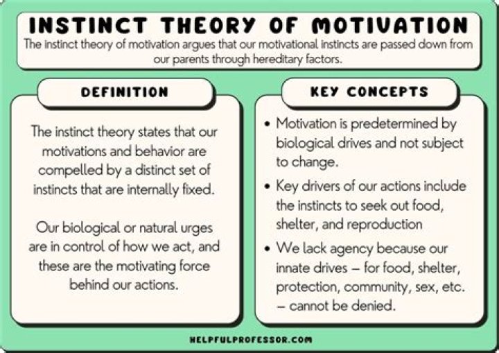 What is instinct theory of motivation example?