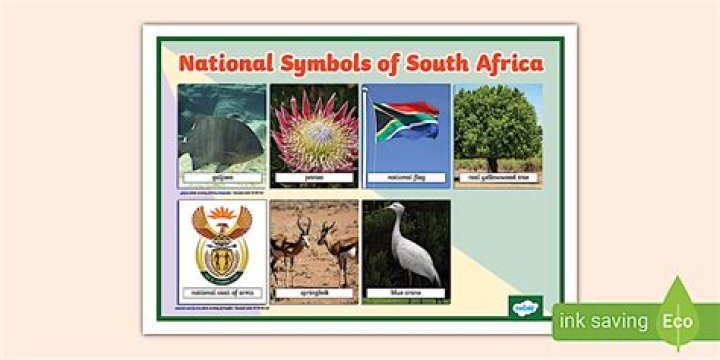 What is Milo in South Africa?