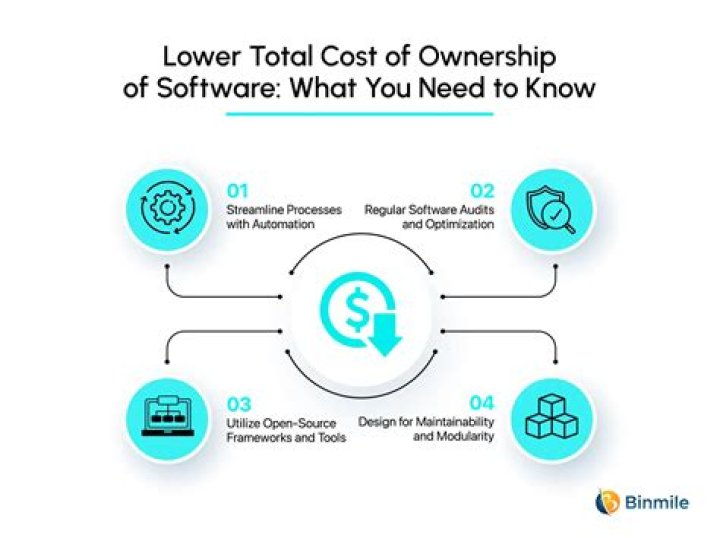 What is software total cost of ownership?