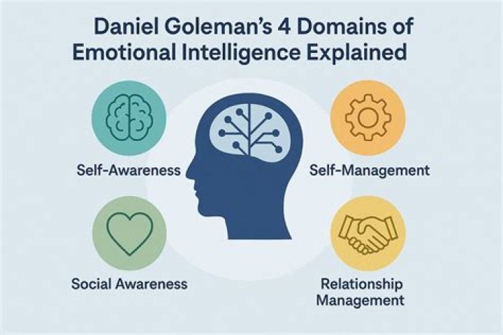 What is the Daniel Goleman theory?