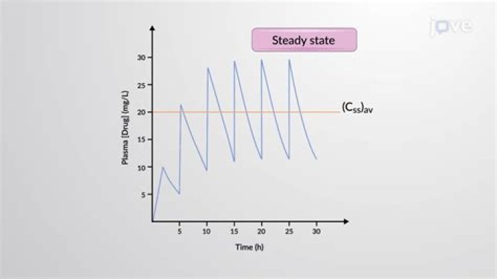 What is the pre steady-state?