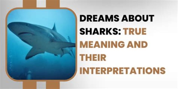 What is the true meaning of dreams?