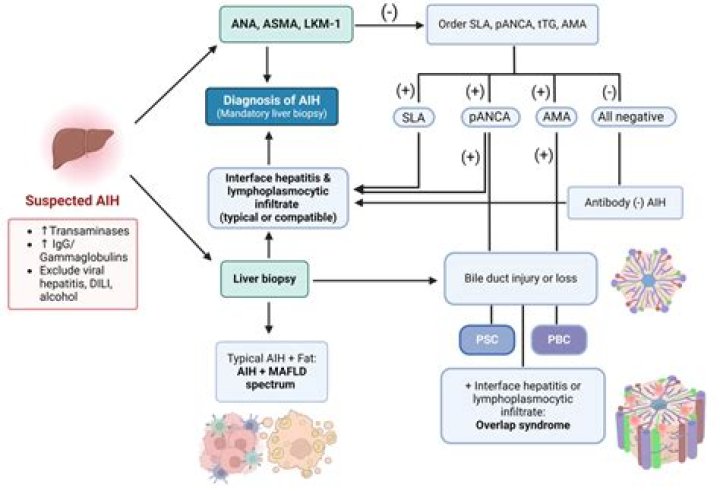 What is Type 1 AIH?