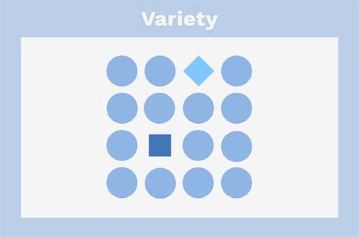 What is variety in photography?
