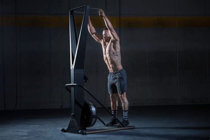 What muscles do the SkiErg work?