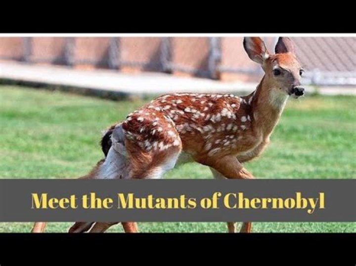 What mutations Did Chernobyl Cause?