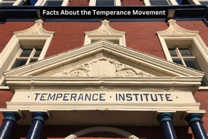 What political party was associated with the temperance movement?