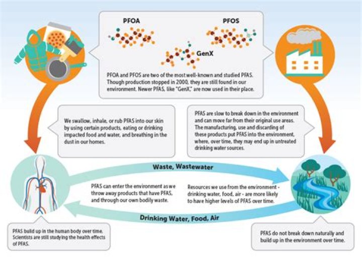 Where is PFOA found?